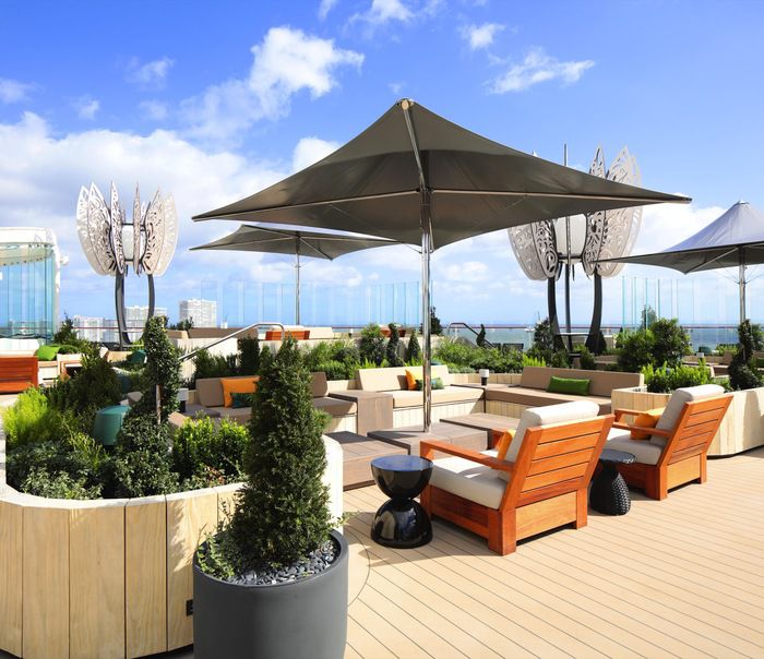 Rooftop Garden